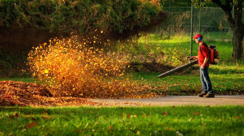 Leaf Blowing Method