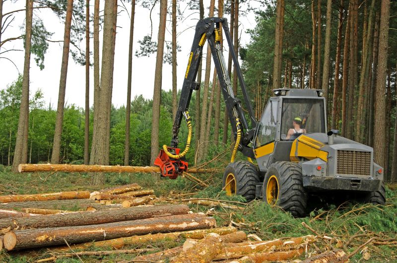 Emergency Tree Removal Equipment