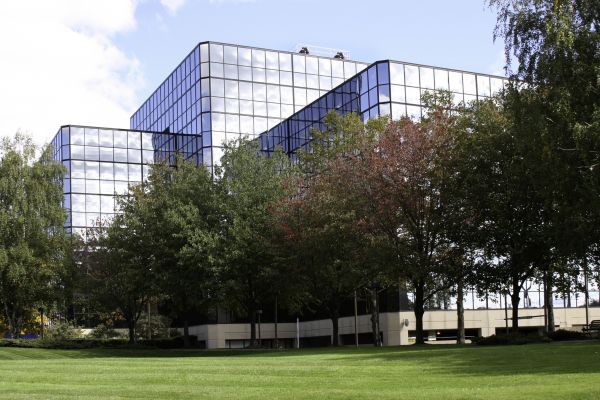 Commercial Tree Trimming in Grand Forks